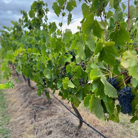 Villa Bracken Ridge Vineyard The Entire Estate Rothbury Exterior foto