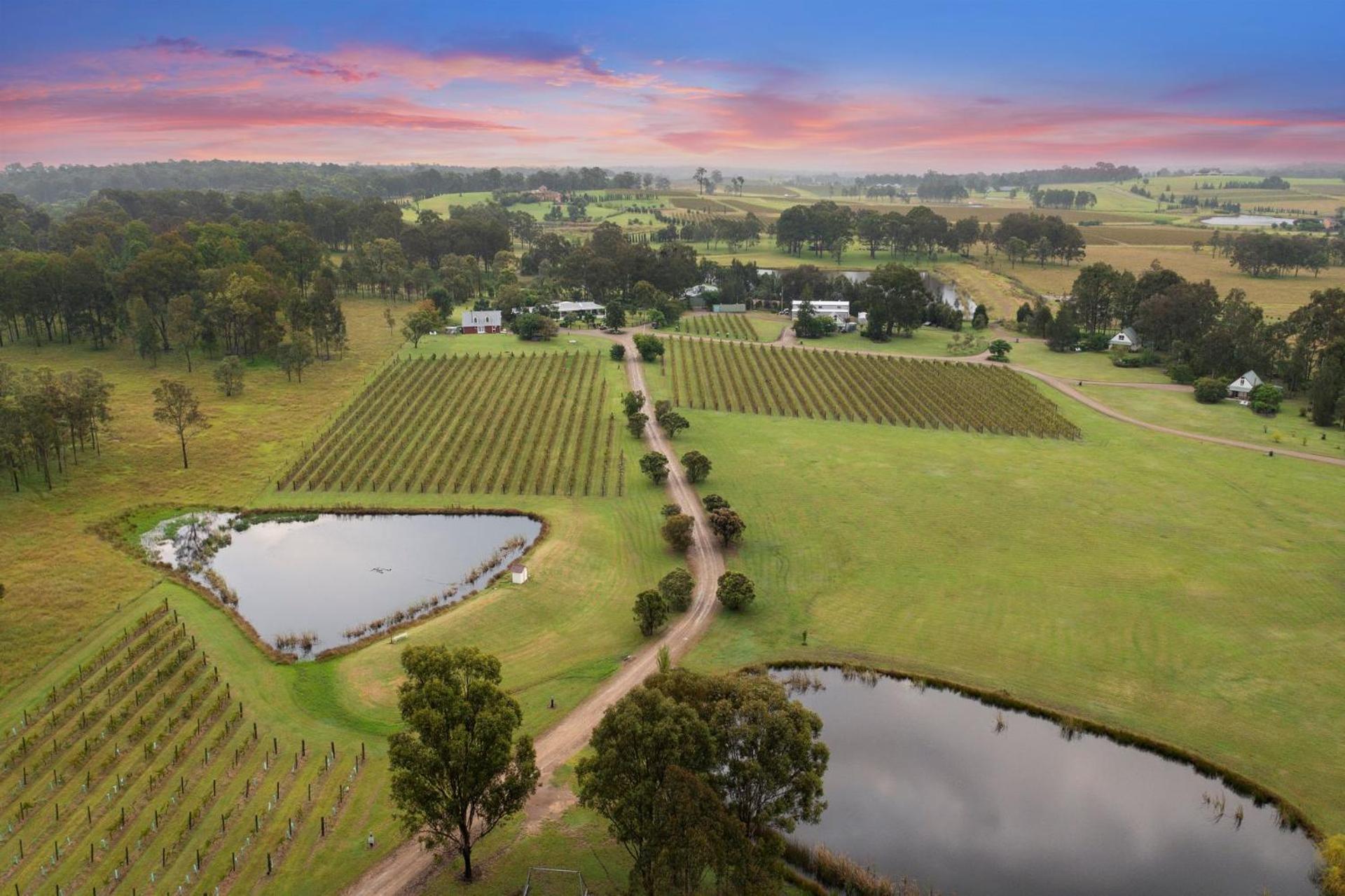 Villa Bracken Ridge Vineyard The Entire Estate Rothbury Exterior foto