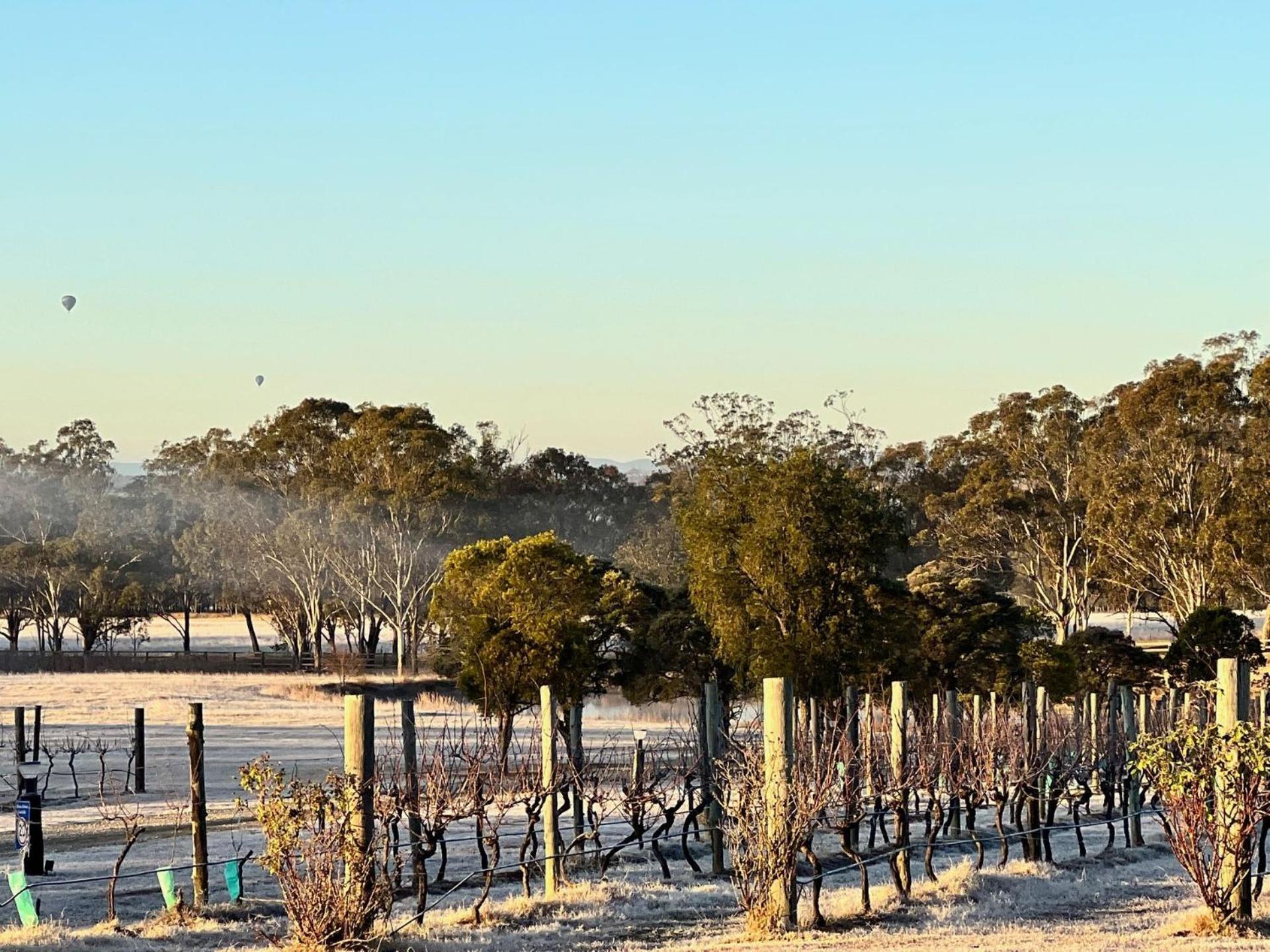 Villa Bracken Ridge Vineyard The Entire Estate Rothbury Exterior foto